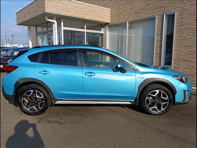 XV