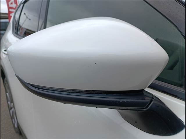 CX-60