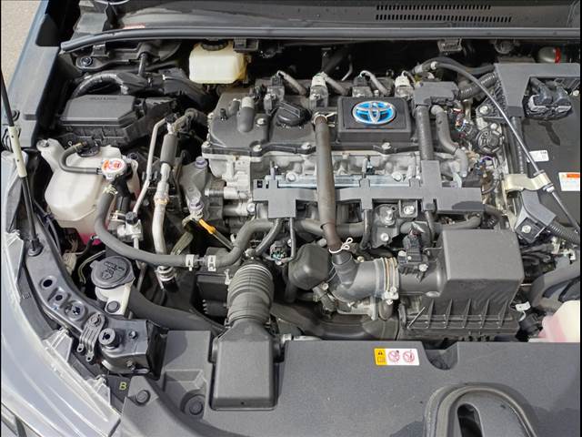 Corolla Sport