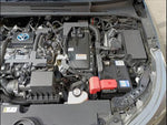 Corolla Sport