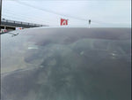 XV