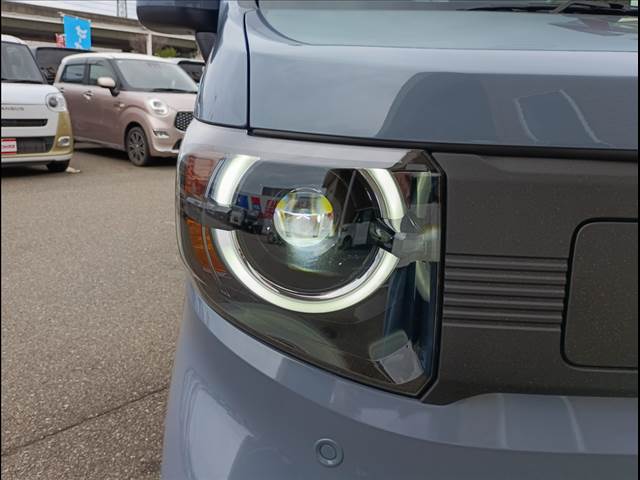 N-VAN e