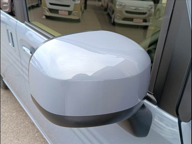 N-VAN e