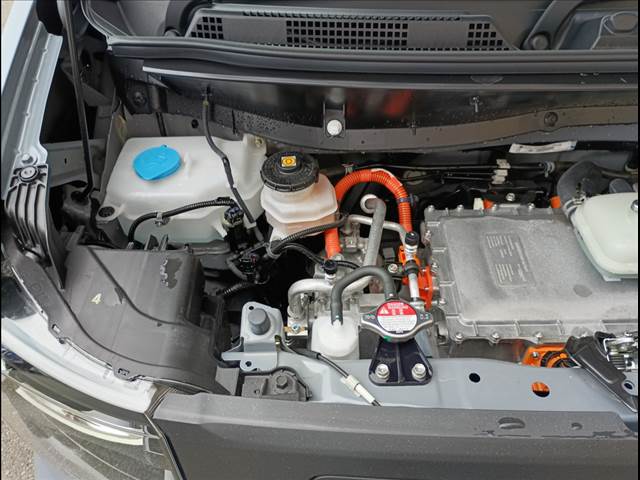 N-VAN e