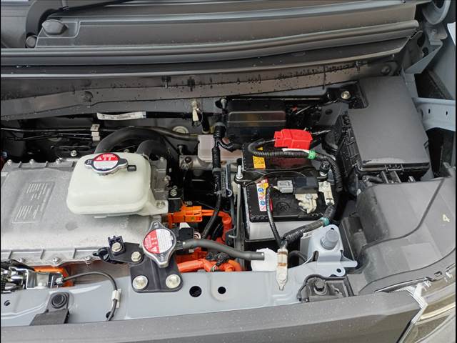 N-VAN e