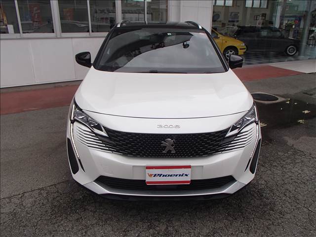 SUV 3008