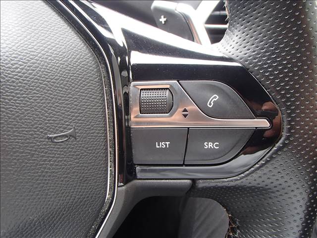 SUV 3008