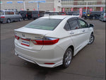 Grace Hybrid