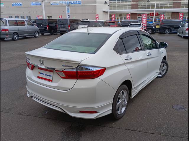 Grace Hybrid