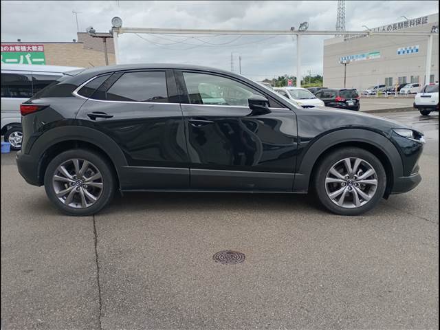 CX-30