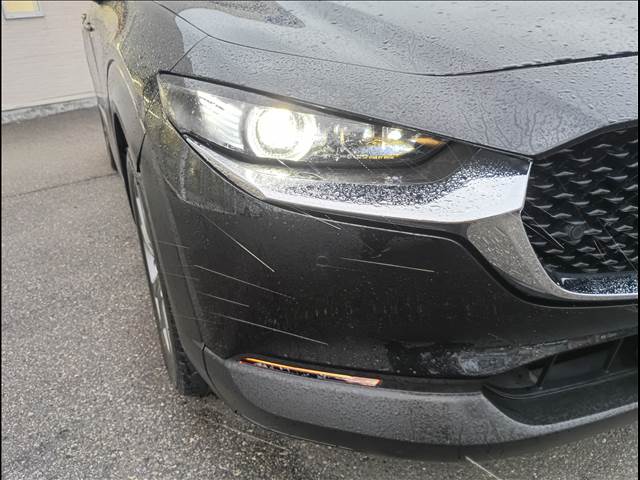 CX-30