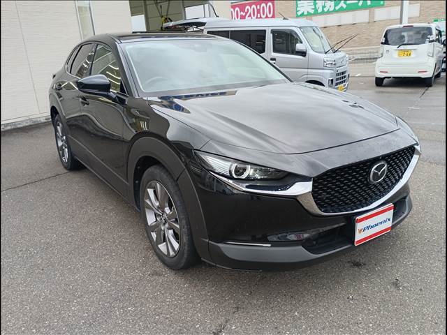CX-30