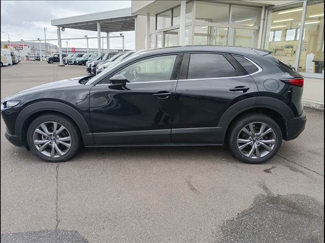 CX-30