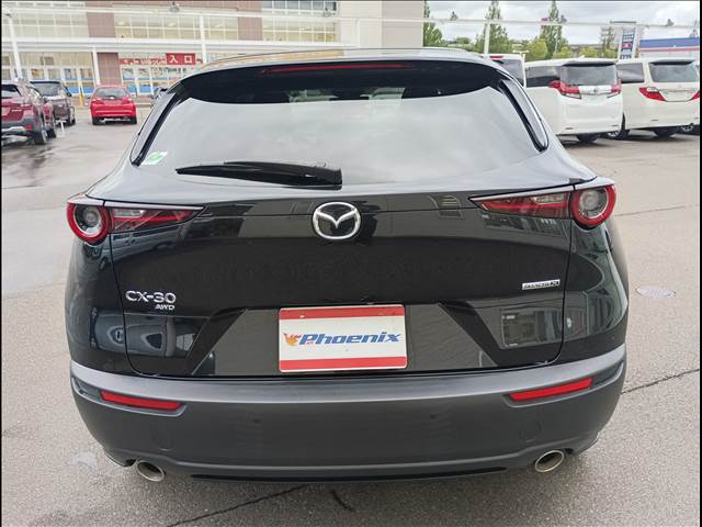 CX-30