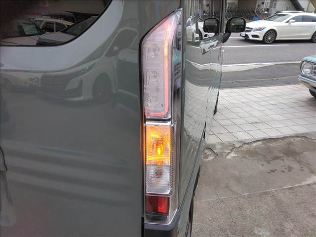 N-VAN e