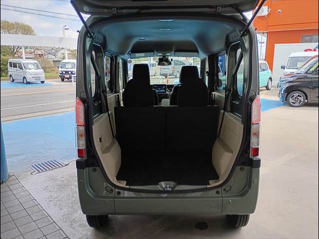 N-VAN e