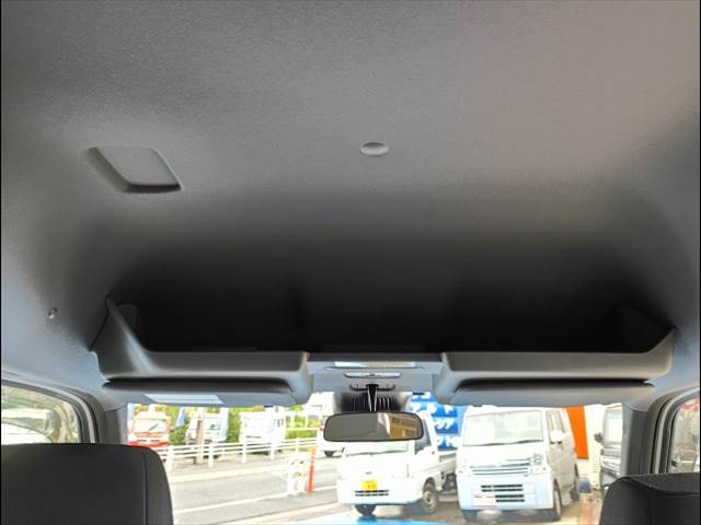 N-VAN e