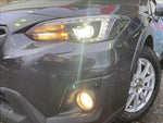 XV