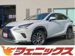 NX