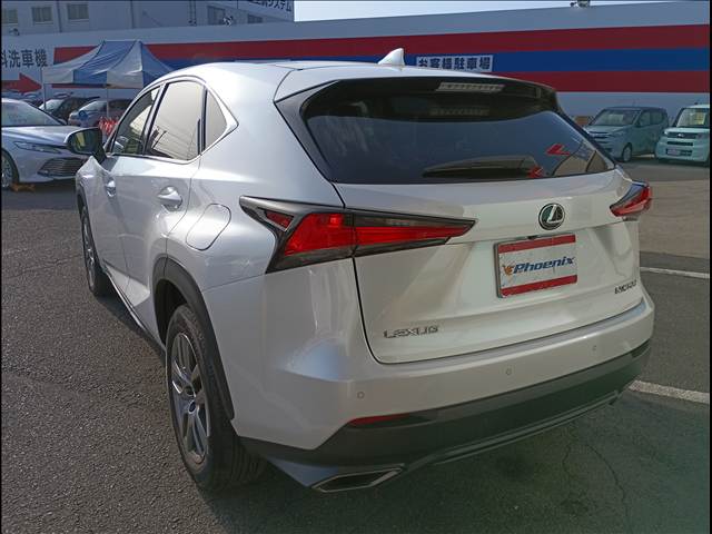 NX