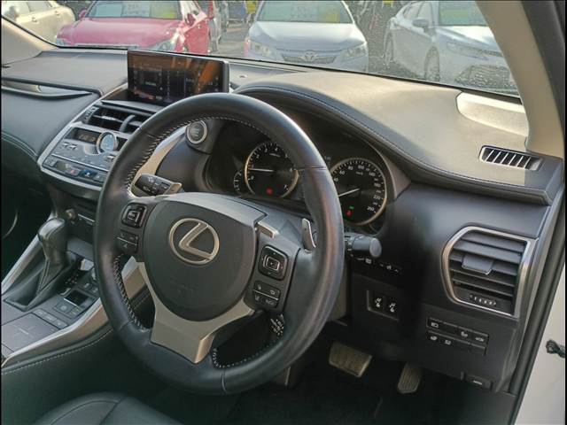 NX
