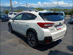 XV