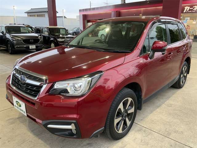 FORESTER