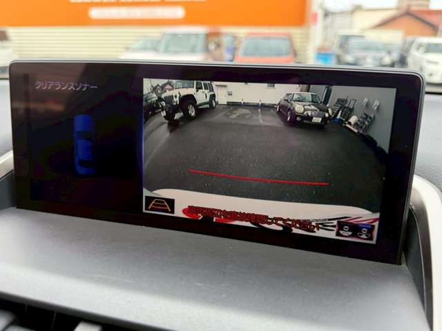 LEXUS NX300