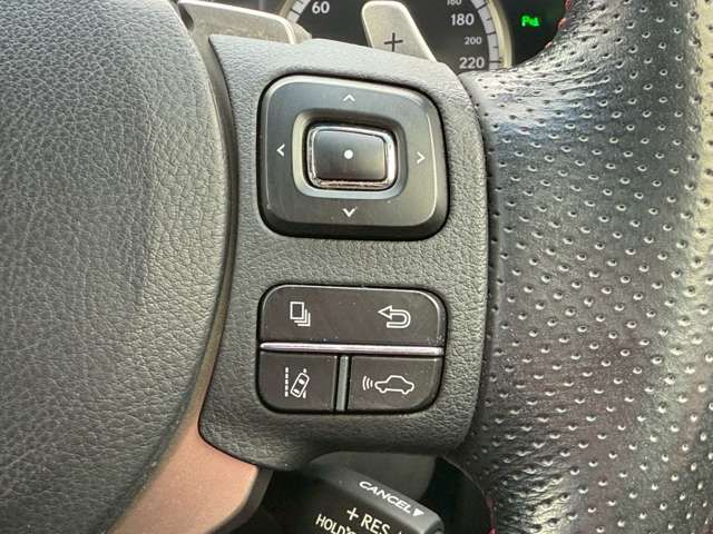 LEXUS NX300