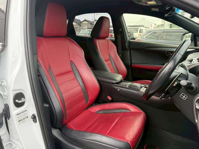 LEXUS NX300