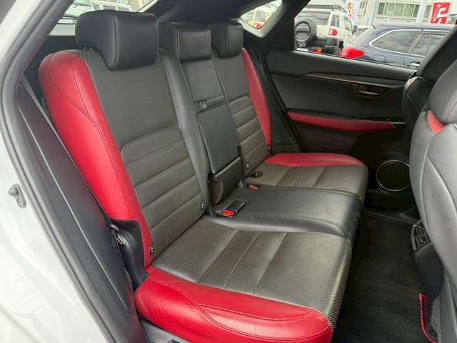LEXUS NX300