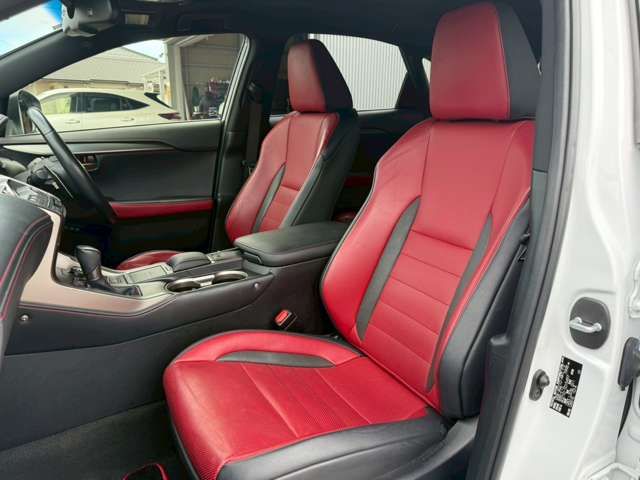 LEXUS NX300