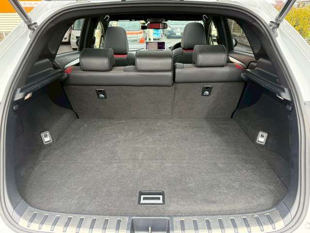 LEXUS NX300