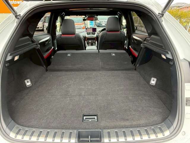 LEXUS NX300