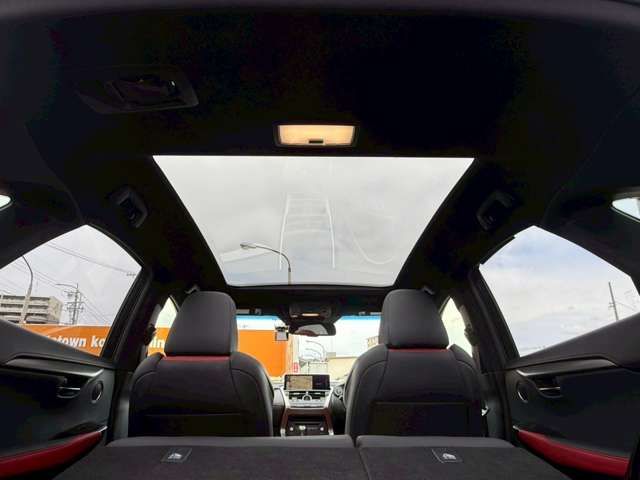 LEXUS NX300