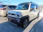 HUSTLER 4WD