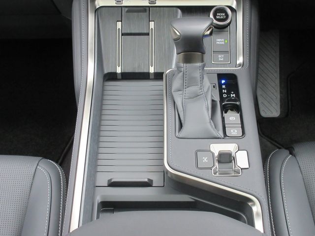 LEXUS GX550