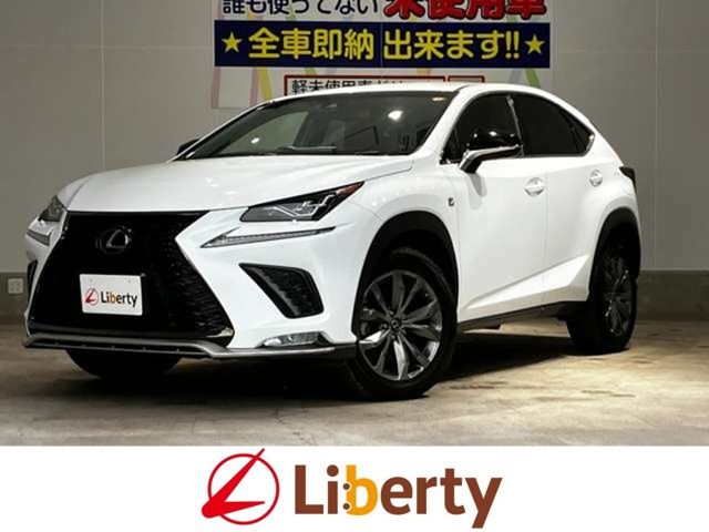 LEXUS NX300