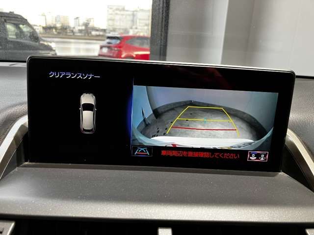 LEXUS NX300