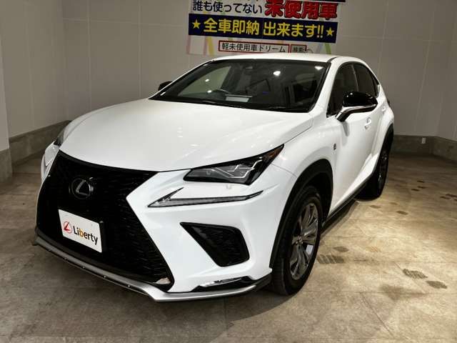 LEXUS NX300