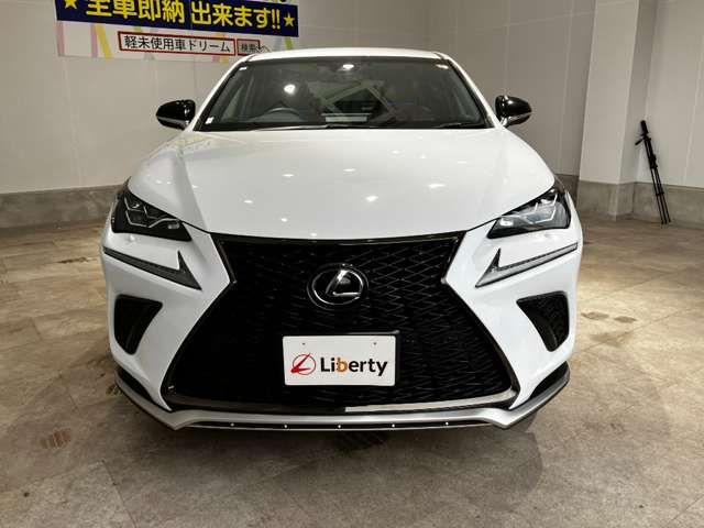 LEXUS NX300