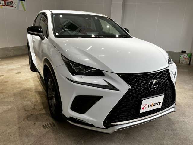 LEXUS NX300