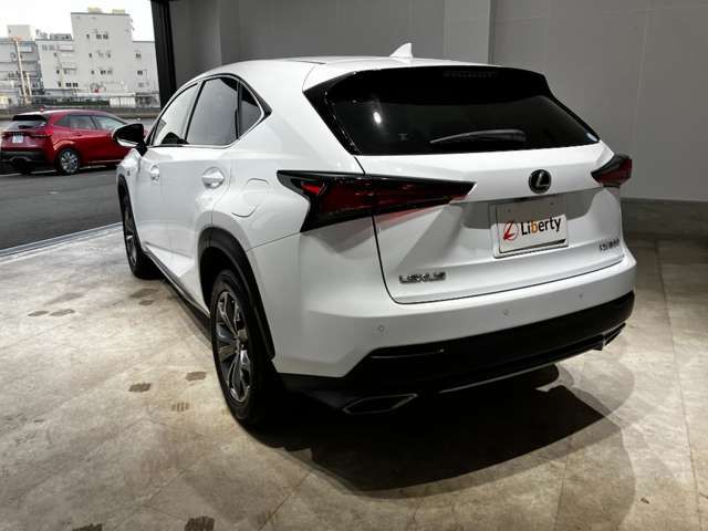 LEXUS NX300