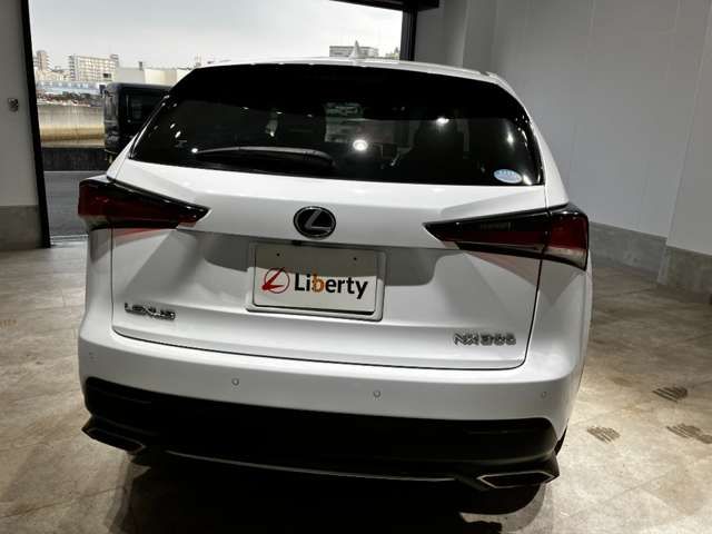 LEXUS NX300