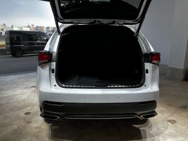 LEXUS NX300