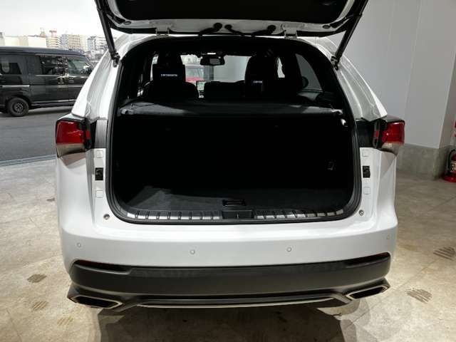 LEXUS NX300