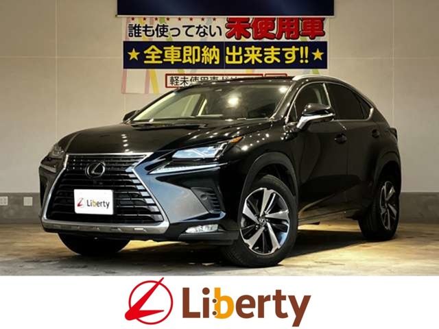 LEXUS NX300