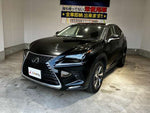 LEXUS NX300