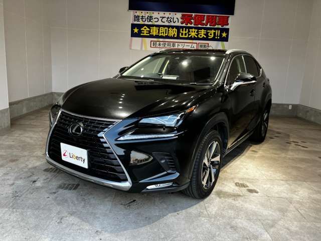 LEXUS NX300