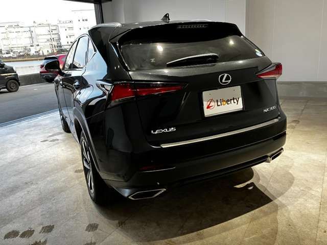 LEXUS NX300